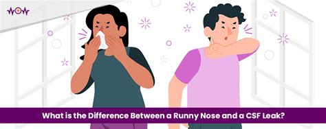 yellow fluid leaking from nose|CSF Leak vs. Runny Nose: How to Tell the Difference